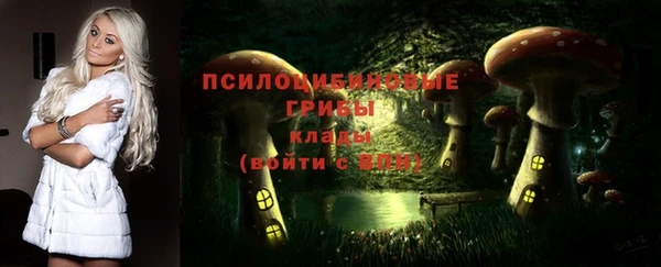 мяу мяу мука Приозерск