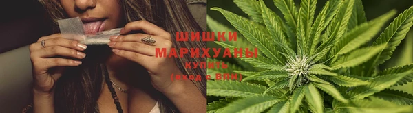 ешки Протвино