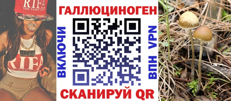 купить  цена  Гагарин  Псилоцибиновые грибы GOLDEN TEACHER 