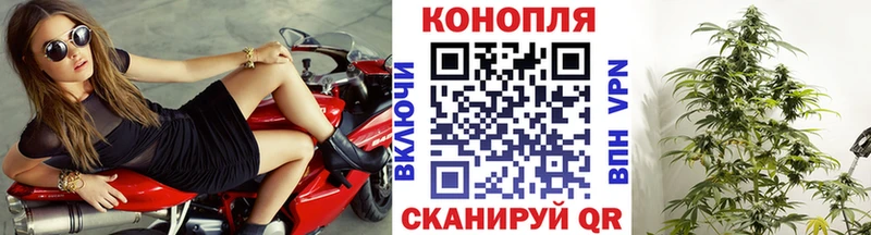 цена   Гагарин  KRAKEN ССЫЛКА  shop состав  Канабис THC 21% 
